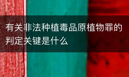 有关非法种植毒品原植物罪的判定关键是什么