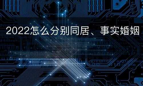 2022怎么分别同居、事实婚姻