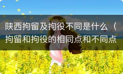 陕西拘留及拘役不同是什么（拘留和拘役的相同点和不同点）