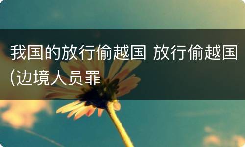 我国的放行偷越国 放行偷越国(边境人员罪