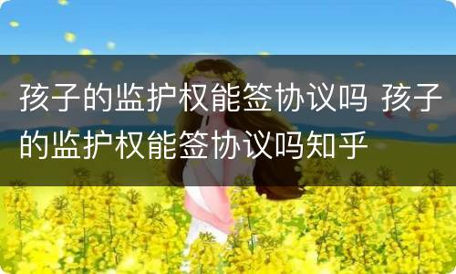 孩子的监护权能签协议吗 孩子的监护权能签协议吗知乎