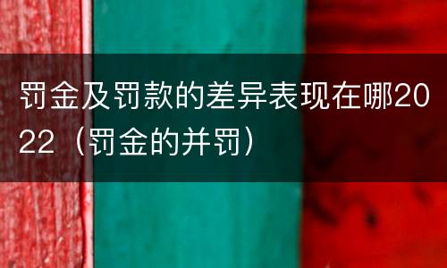 罚金及罚款的差异表现在哪2022（罚金的并罚）
