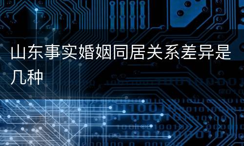 山东事实婚姻同居关系差异是几种