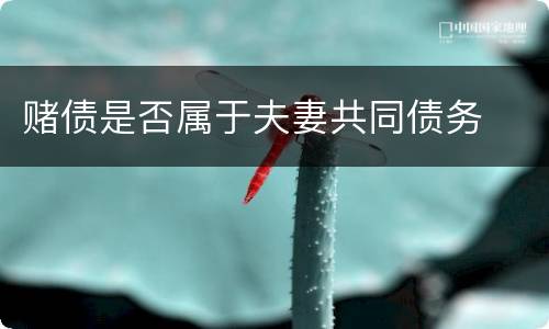赌债是否属于夫妻共同债务
