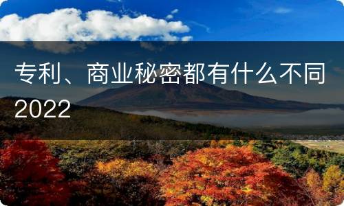 专利、商业秘密都有什么不同2022