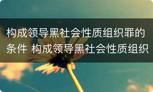构成领导黑社会性质组织罪的条件 构成领导黑社会性质组织罪的条件是