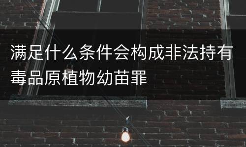 满足什么条件会构成非法持有毒品原植物幼苗罪