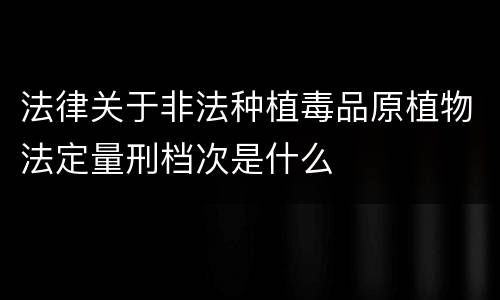 法律关于非法种植毒品原植物法定量刑档次是什么