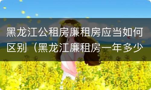 黑龙江公租房廉租房应当如何区别（黑龙江廉租房一年多少钱）