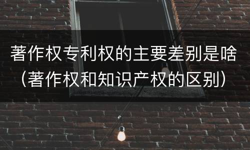 著作权专利权的主要差别是啥（著作权和知识产权的区别）