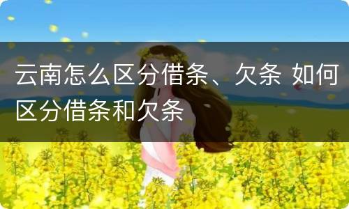 云南怎么区分借条、欠条 如何区分借条和欠条
