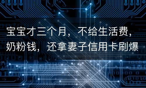 宝宝才三个月，不给生活费，奶粉钱，还拿妻子信用卡刷爆了，没有偿还