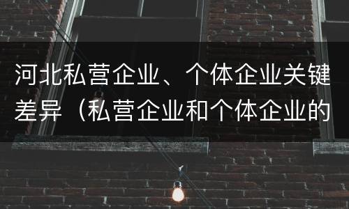 河北私营企业、个体企业关键差异（私营企业和个体企业的区别）