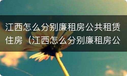 江西怎么分别廉租房公共租赁住房（江西怎么分别廉租房公共租赁住房呢）