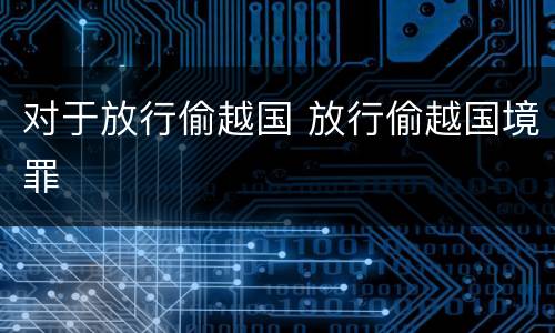 对于放行偷越国 放行偷越国境罪