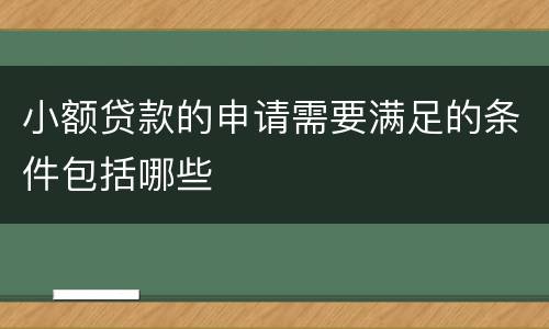 小额贷款的申请需要满足的条件包括哪些