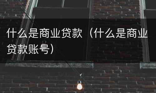 什么是商业贷款（什么是商业贷款账号）