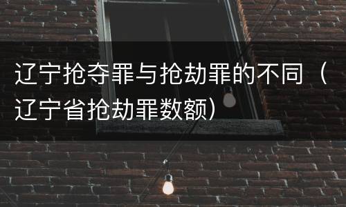 辽宁抢夺罪与抢劫罪的不同（辽宁省抢劫罪数额）