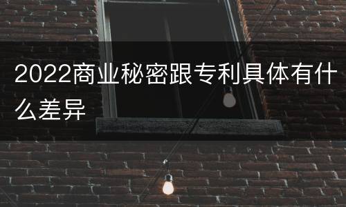 2022商业秘密跟专利具体有什么差异