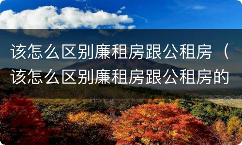 该怎么区别廉租房跟公租房（该怎么区别廉租房跟公租房的区别）