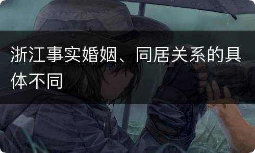 浙江事实婚姻、同居关系的具体不同