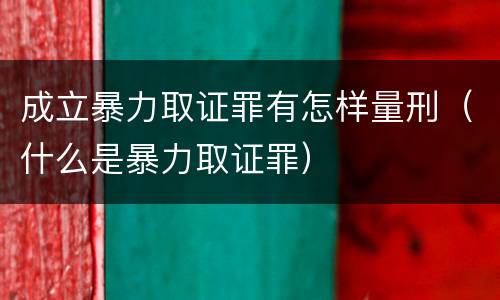 成立暴力取证罪有怎样量刑（什么是暴力取证罪）