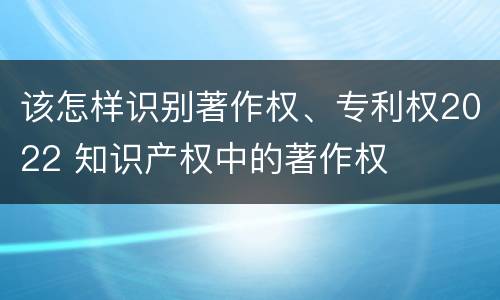 该怎样识别著作权、专利权2022 知识产权中的著作权