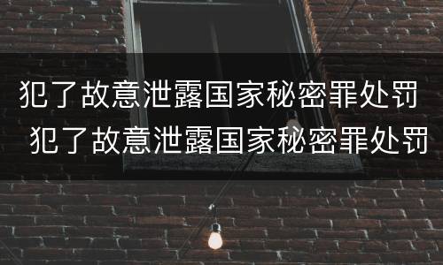 犯了故意泄露国家秘密罪处罚 犯了故意泄露国家秘密罪处罚标准
