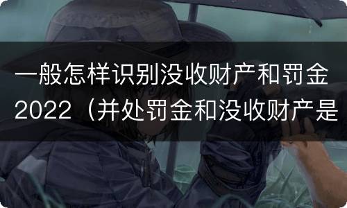 一般怎样识别没收财产和罚金2022（并处罚金和没收财产是什么意思）