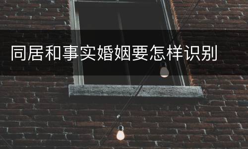 同居和事实婚姻要怎样识别