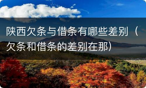 陕西欠条与借条有哪些差别（欠条和借条的差别在那）