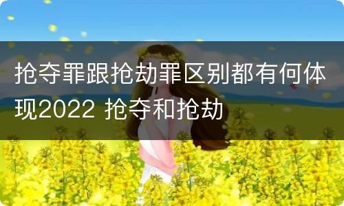 抢夺罪跟抢劫罪区别都有何体现2022 抢夺和抢劫
