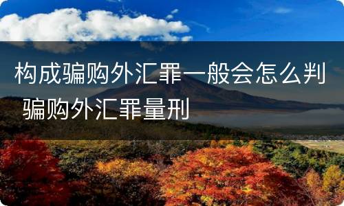 构成骗购外汇罪一般会怎么判 骗购外汇罪量刑