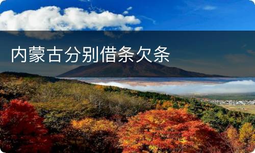 内蒙古分别借条欠条