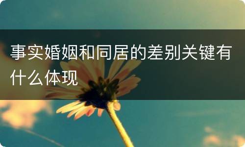 事实婚姻和同居的差别关键有什么体现