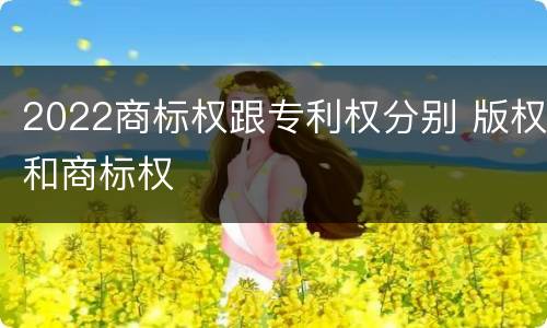 2022商标权跟专利权分别 版权和商标权