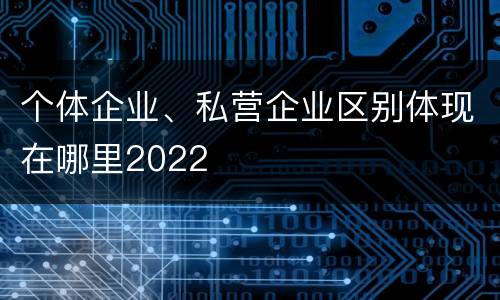 个体企业、私营企业区别体现在哪里2022