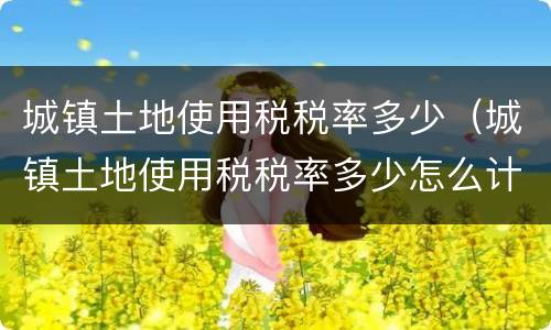 城镇土地使用税税率多少（城镇土地使用税税率多少怎么计算）