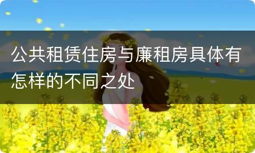 公共租赁住房与廉租房具体有怎样的不同之处