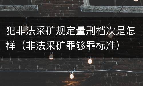 犯非法采矿规定量刑档次是怎样（非法采矿罪够罪标准）