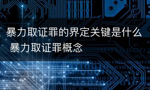 暴力取证罪的界定关键是什么 暴力取证罪概念