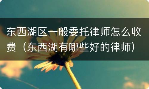 东西湖区一般委托律师怎么收费（东西湖有哪些好的律师）