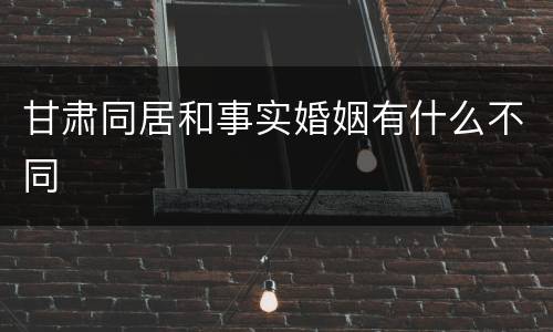 甘肃同居和事实婚姻有什么不同