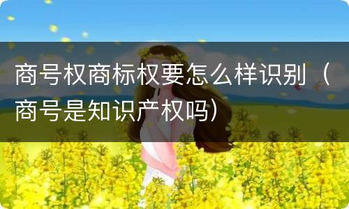 商号权商标权要怎么样识别（商号是知识产权吗）