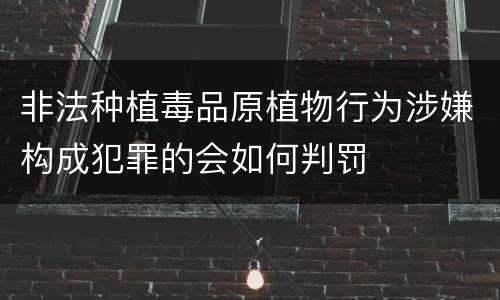 非法种植毒品原植物行为涉嫌构成犯罪的会如何判罚