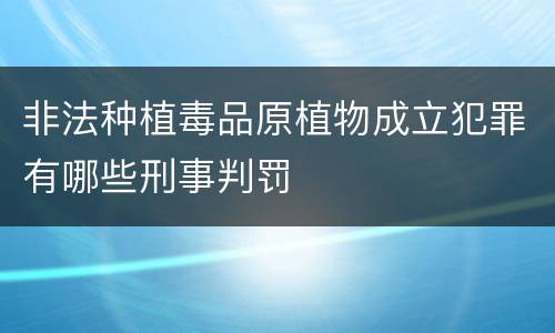 非法种植毒品原植物成立犯罪有哪些刑事判罚