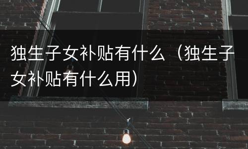独生子女补贴有什么（独生子女补贴有什么用）