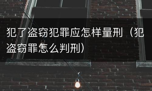 犯了盗窃犯罪应怎样量刑（犯盗窃罪怎么判刑）