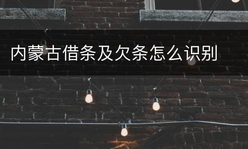 内蒙古借条及欠条怎么识别