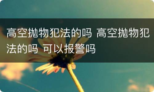 高空抛物犯法的吗 高空抛物犯法的吗 可以报警吗